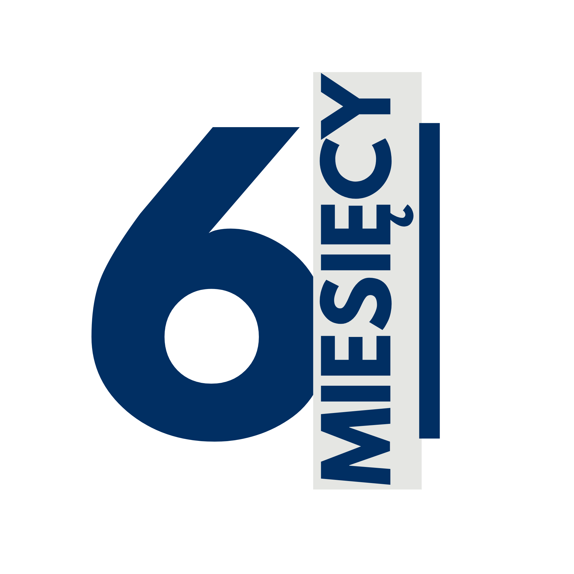 6 Miesięcy Projekt