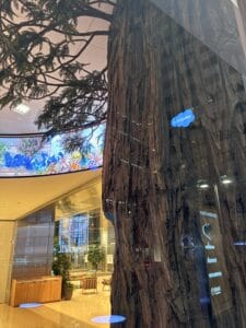 Wyjazd na Cloudflare Connect 2026 – Salesforce, San Francisco, zdjęcie 30
